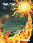 The neuroscience of lucid dreaming: Past, present, future