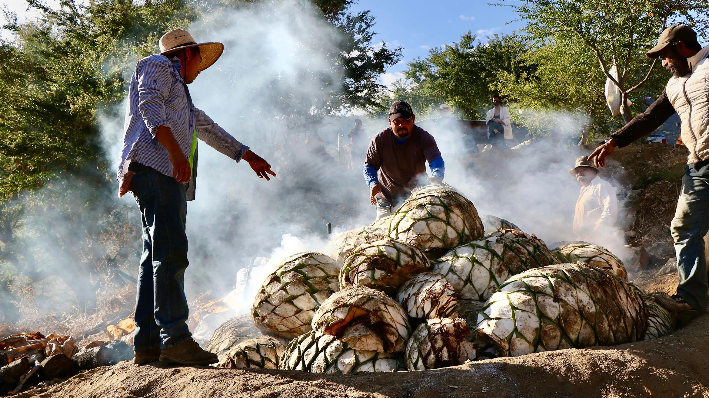 Mezcal: A Complete Guide to Buying and Drinking With Integrity | PUNCH