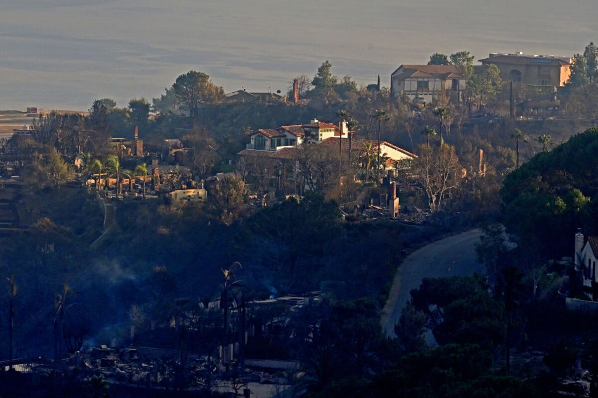These Homes Withstood the LA Fires. Architects Explain Why
