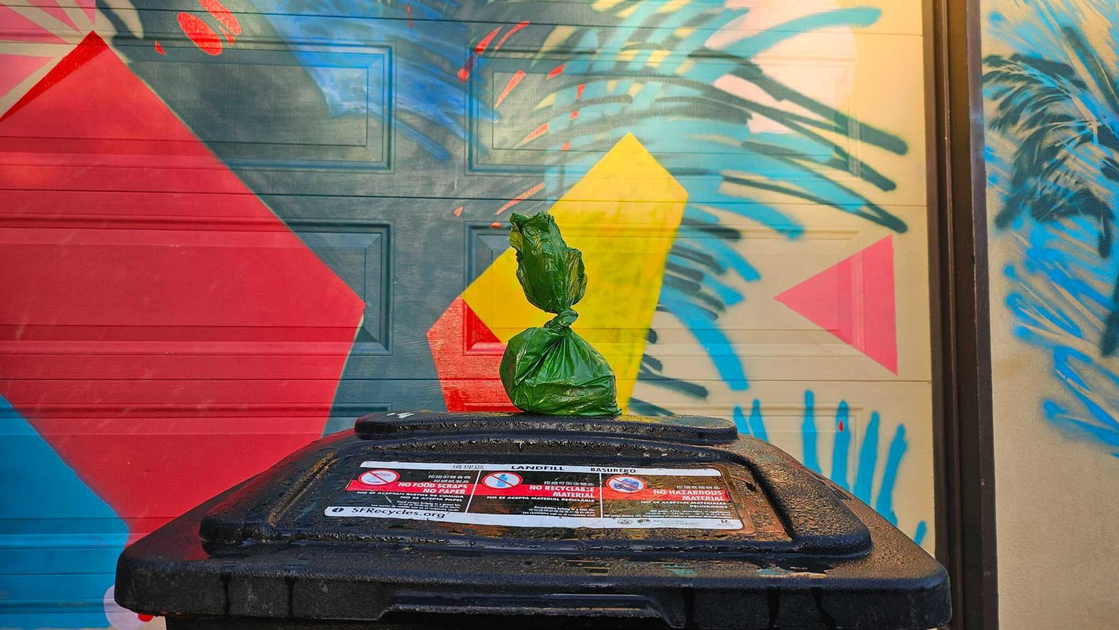 Can you put dog poop bags in other people’s trash cans? An ethical investigation