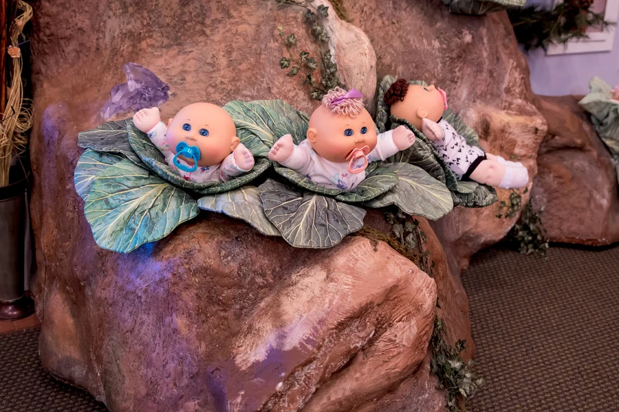 Nothing Could Prepare Me for the Bizarre 'Live Birth' Experience at Babyland Hospital