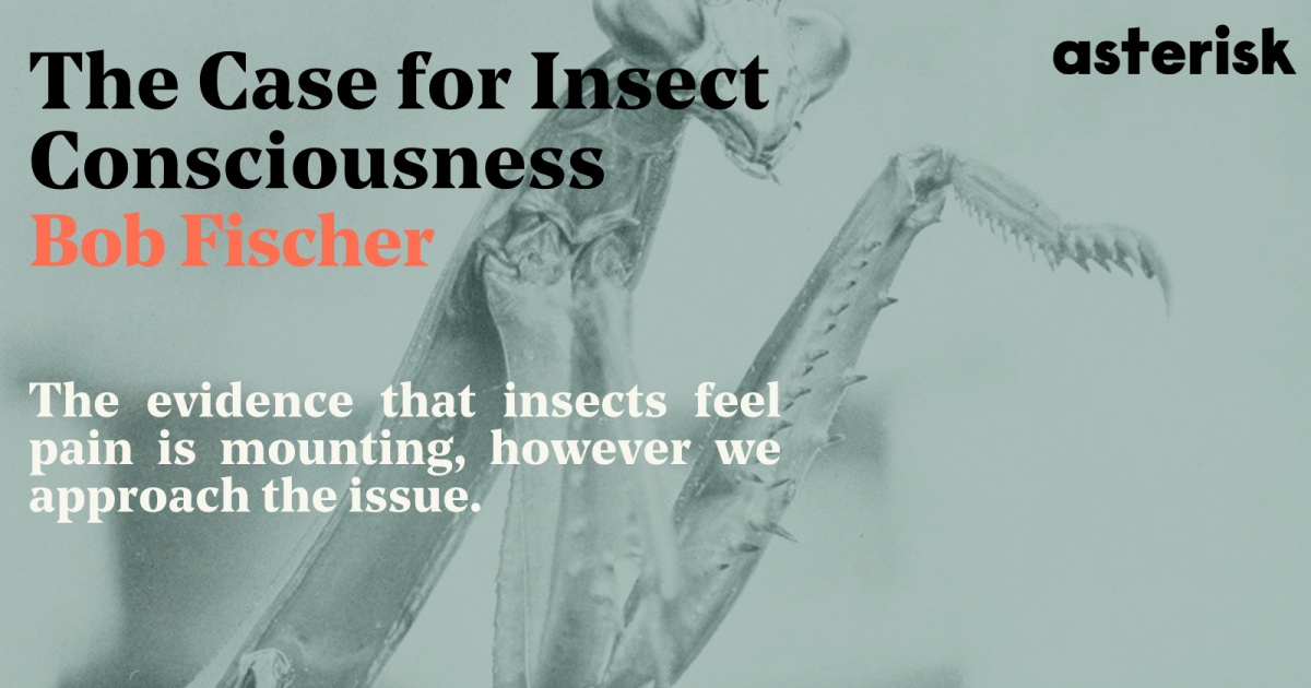 The Case for Insect Consciousness—Asterisk