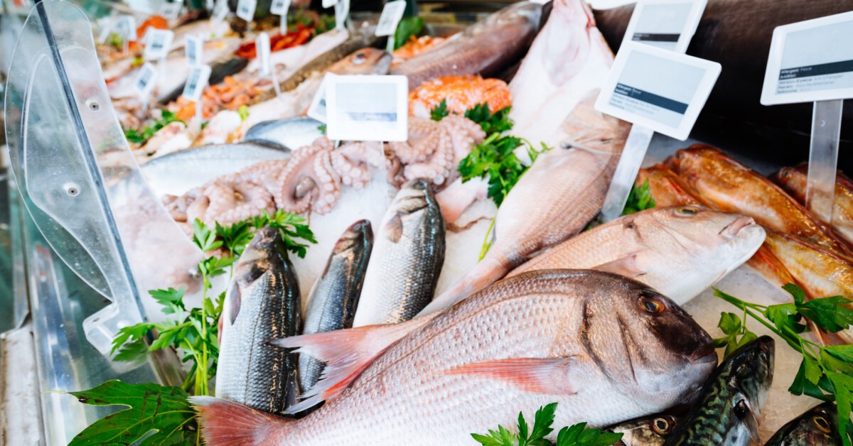 New Jersey fishermen challenge Chevron deference - Competitive Enterprise Institute