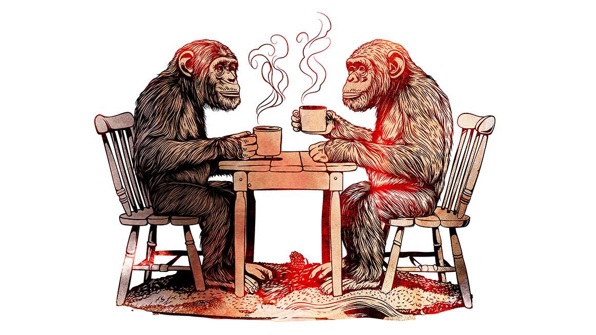 Cocaine hippos, monkey copyrights, and a horse named justice: The debate over animal personhood