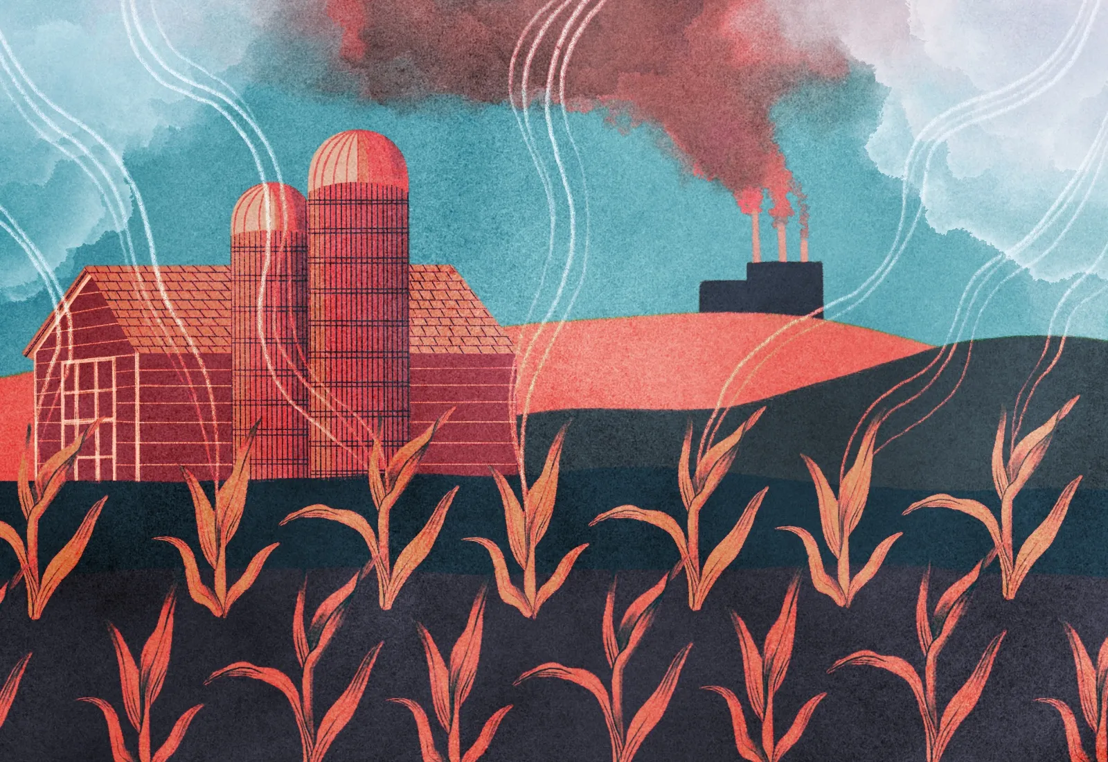 The US is about to go all-in on paying farmers and foresters to trap carbon