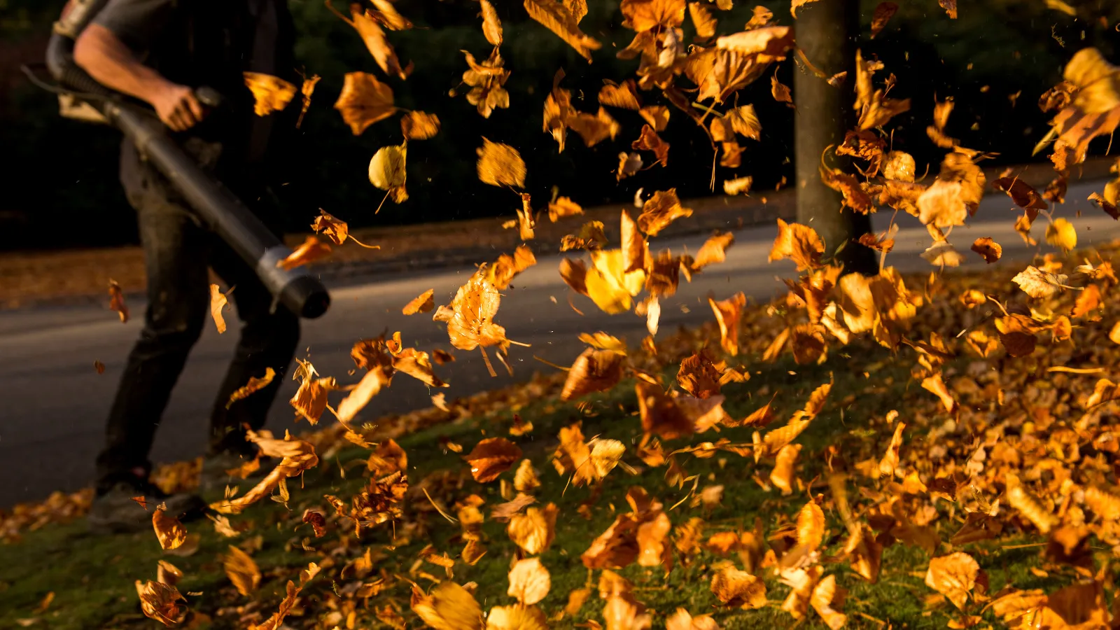 Hear that? Itâs the sound of leaf blower bans.