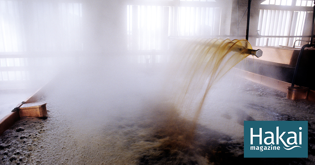 How Far Will Salmon Swim for a Craft Beer?