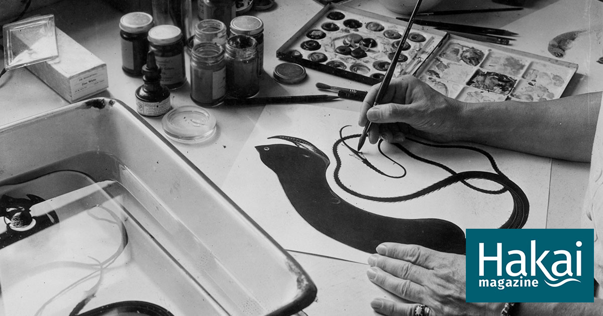 Drawing the Deep Sea from a Seat on the Shore | Hakai Magazine