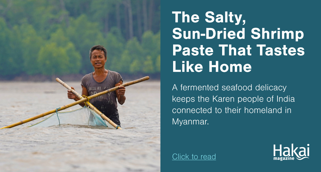 The Salty, Sun-Dried Shrimp Paste That Tastes Like Home | Hakai Magazine