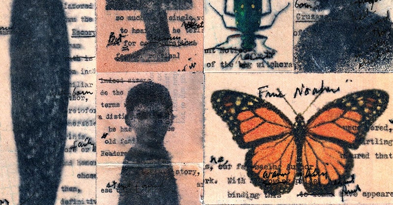 The Keys to Veracruz, by Charles Portis