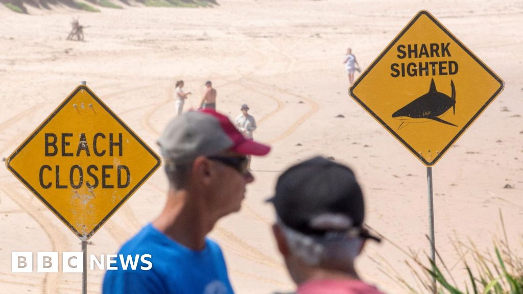 Sydney shark attack: Man seriously injured in Sydney's third shark attack in two days