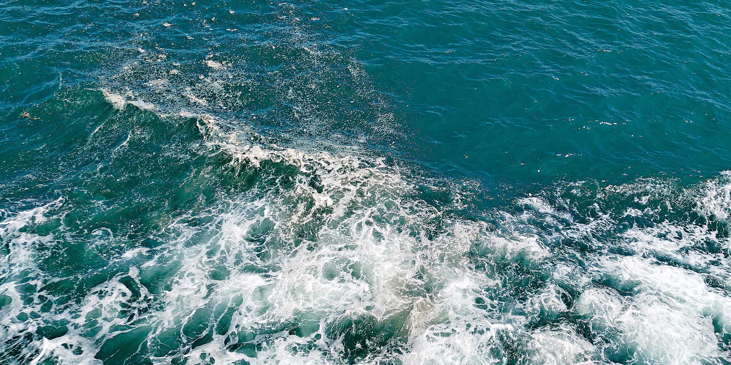 Alone and Adrift: How a Chinese Businessman Survived Six Days in Open Water 