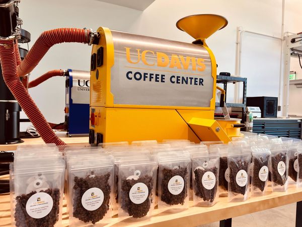 How a UC Davis Research Center Is Changing the World of Coffee