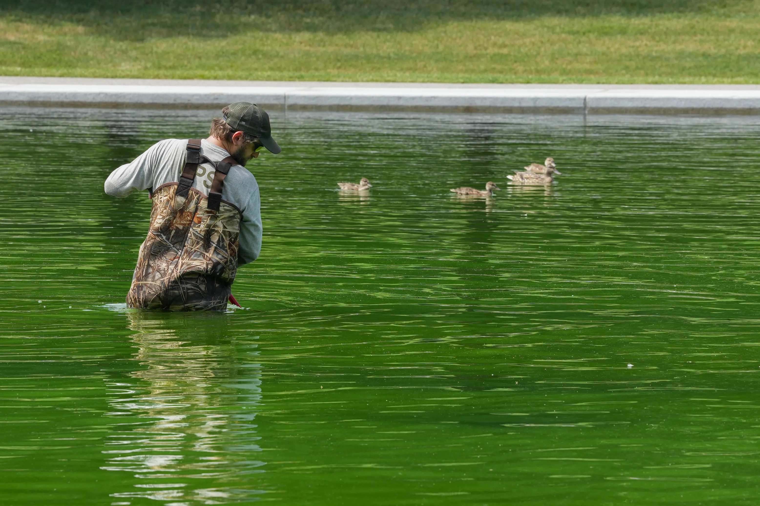 Promises Made, Promises Kept: The Lincoln Memorial Reflecting Pool Absolutely Looks Like Shit Now | Defector