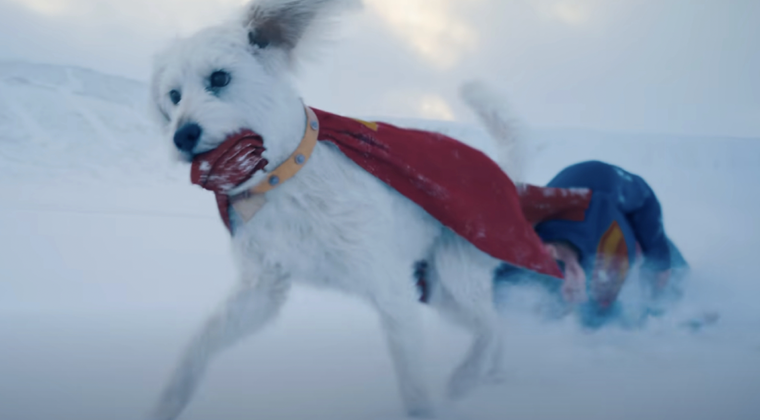 Sorry but There Is Just Too Much Krypto the Superdog in ‘Superman’ - Racket