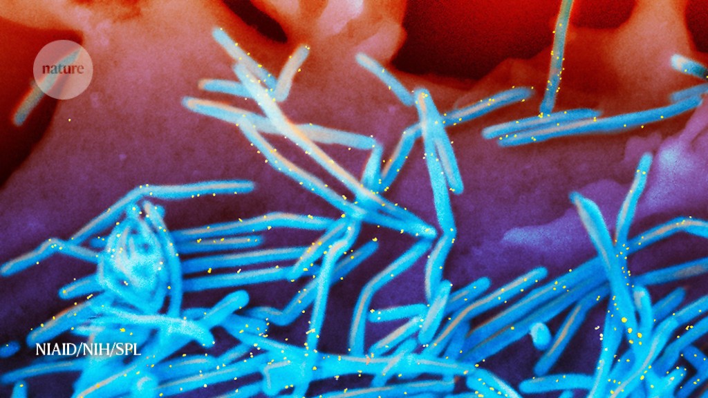 Will a new wave of RSV vaccines stop the dangerous virus?