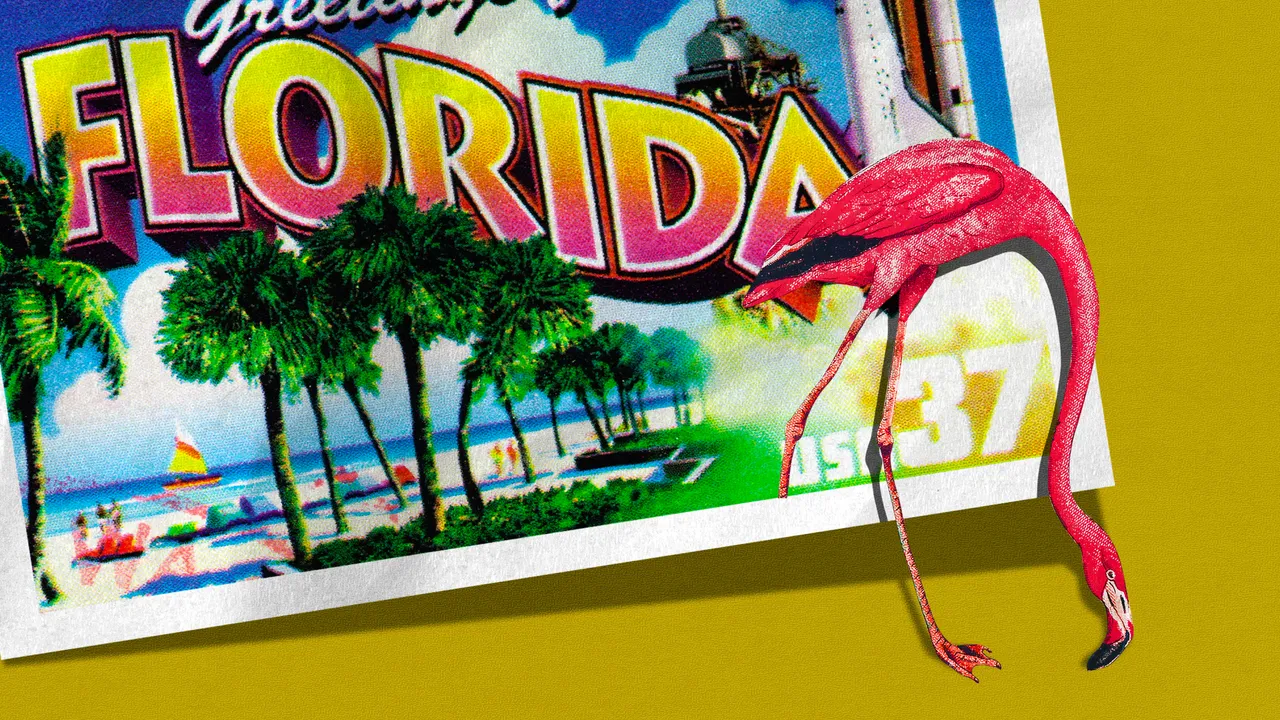 The Mystery of Florida’s Flamingos