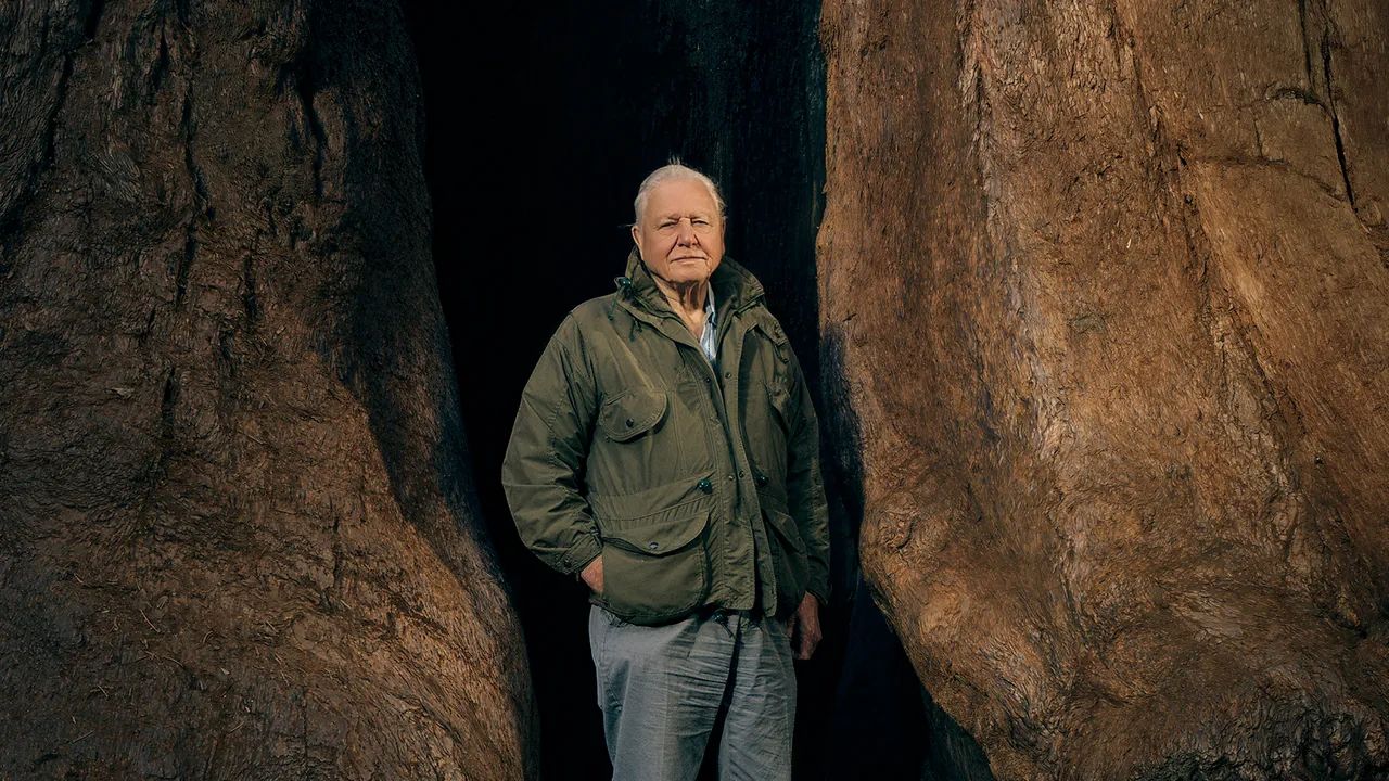 David Attenborough Turns 100