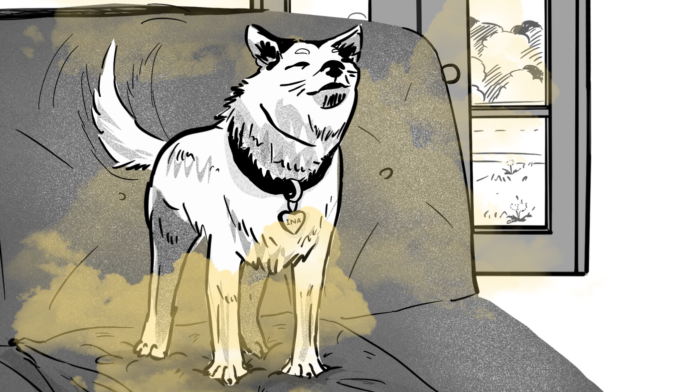 Can dogs smell time? Just ask Donut the dog
