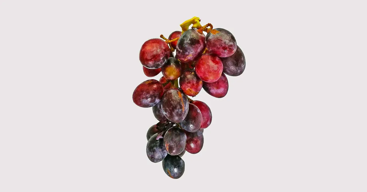 Why a Grape Turns Into a Fireball in a Microwave