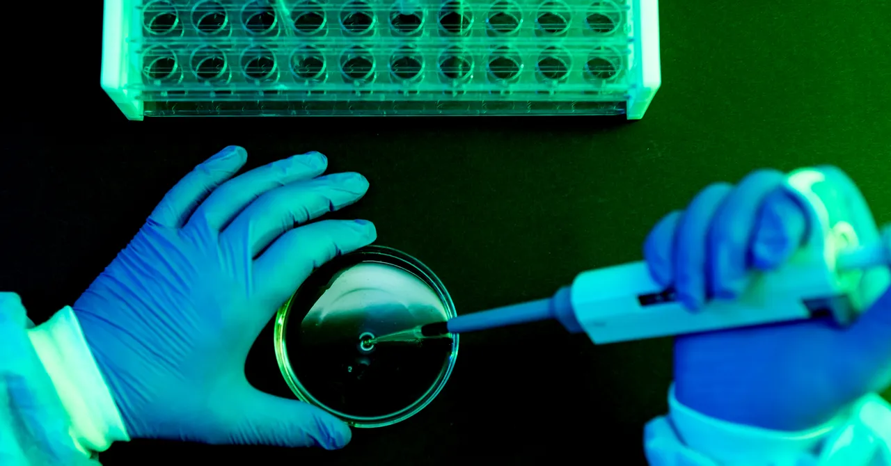 The Damage to Federal Medical Research Is Already Done