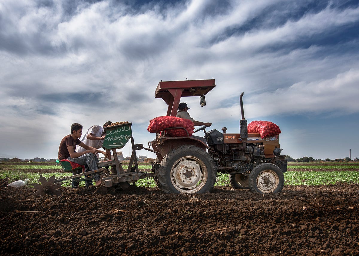 Why the Humble Farm Tractor was the Archetypal Image of 2022