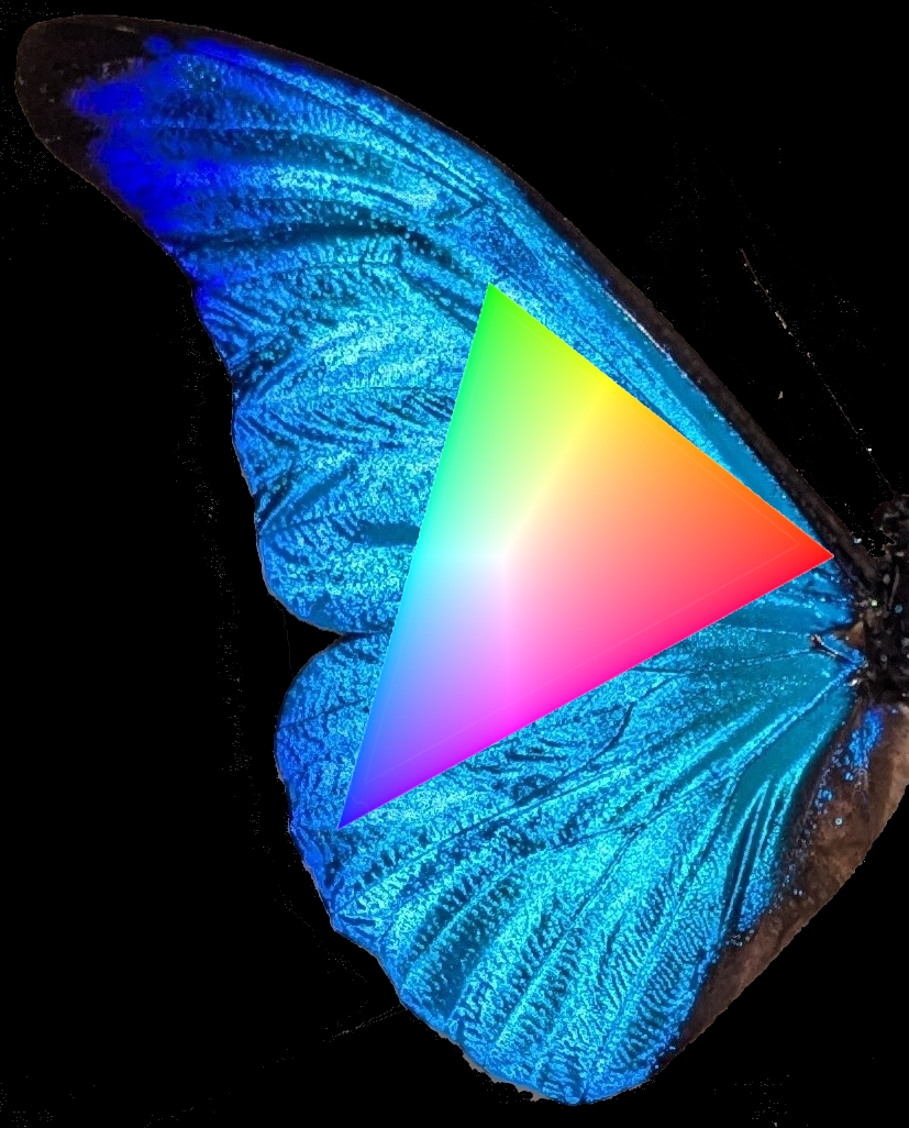 Where to Find the Colors Your Screen Can’t Show You