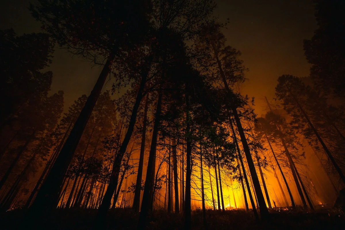 The Case for Returning Disaster-Prone Areas Back to Nature