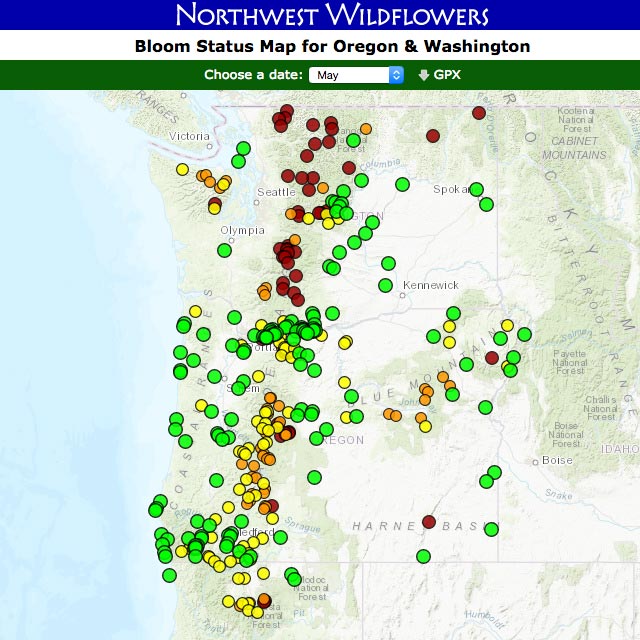 Pacific Northwest Wildflowers: Bloom Status Map