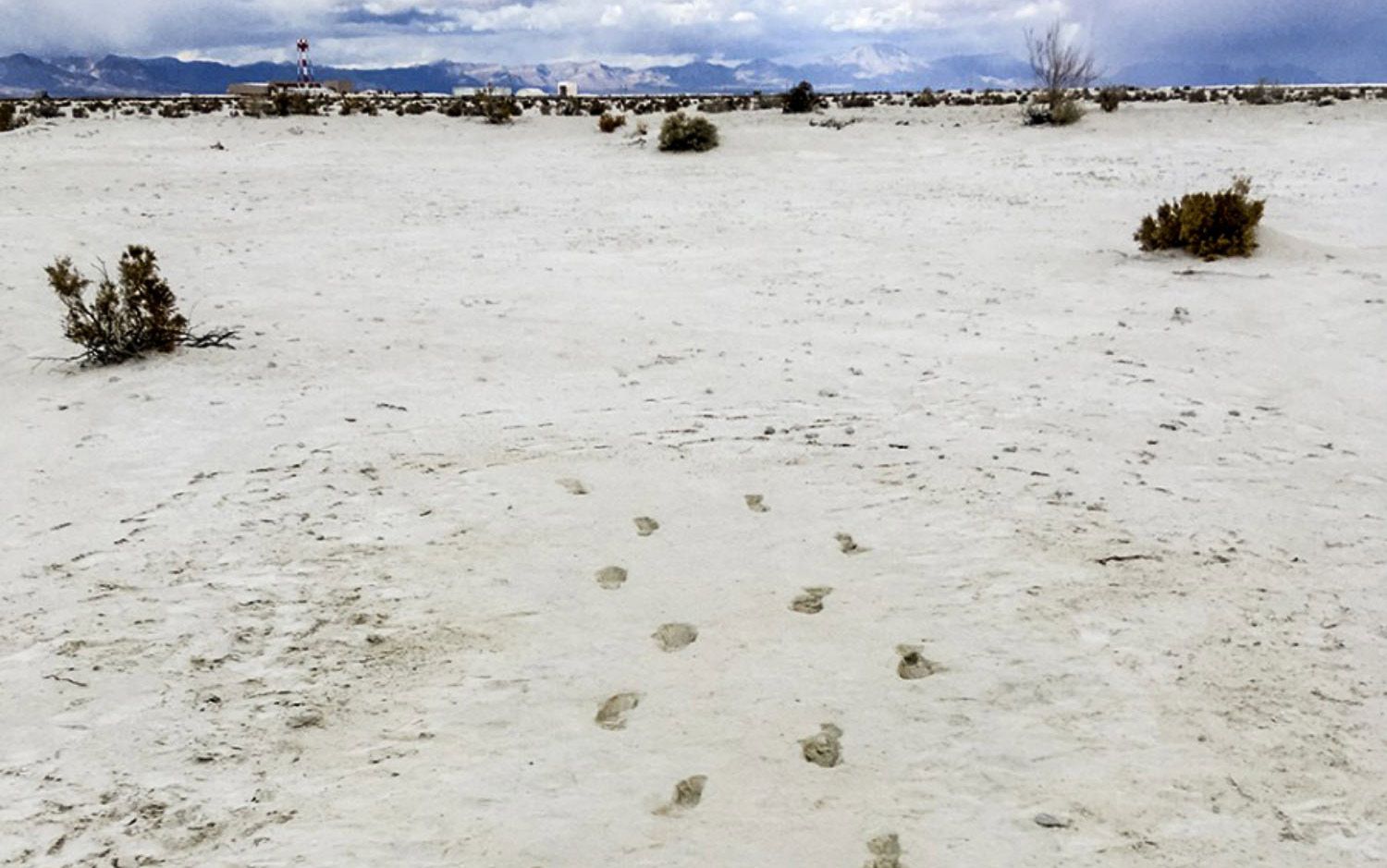 The First Americans – a story of wonderful, uncertain science | Aeon Essays