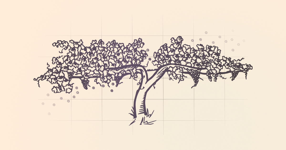 Wine & Math: A model pairing