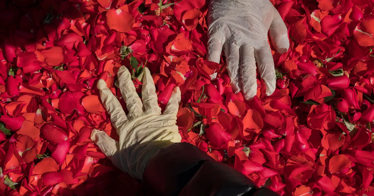 What a Single Metric Tells Us About the Pandemic