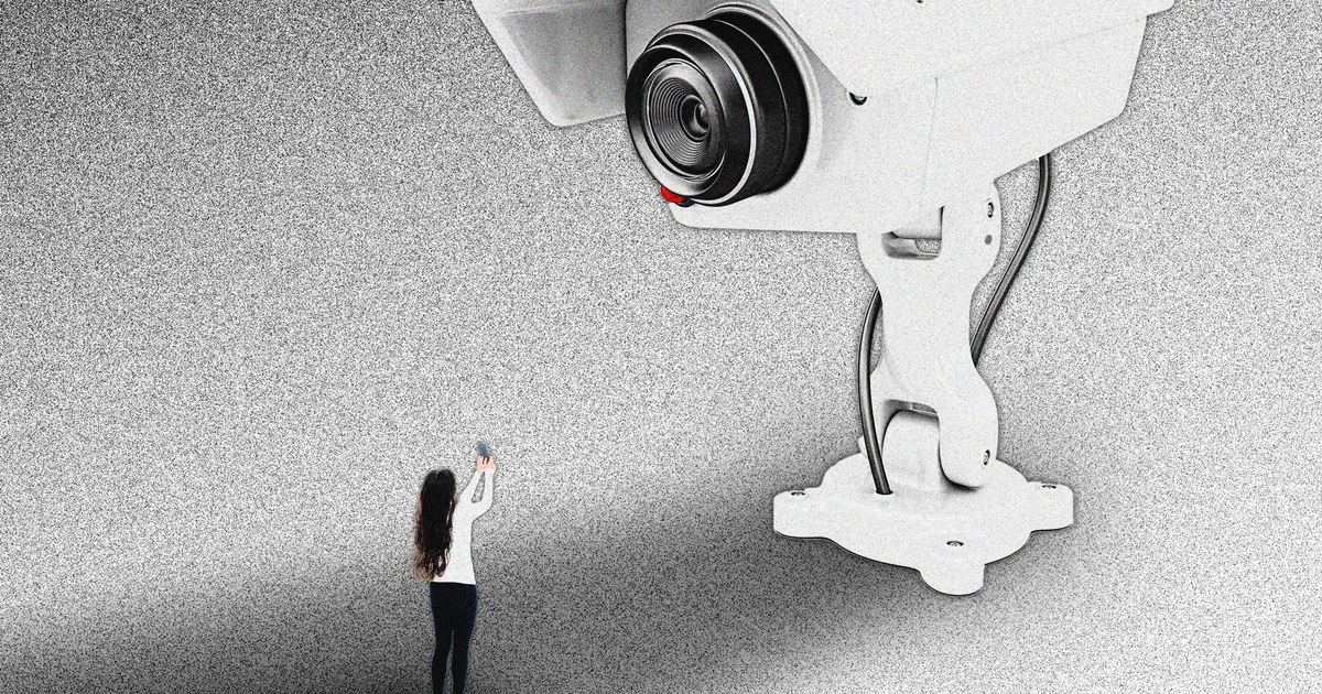 Surveillance Is Made of Dogs