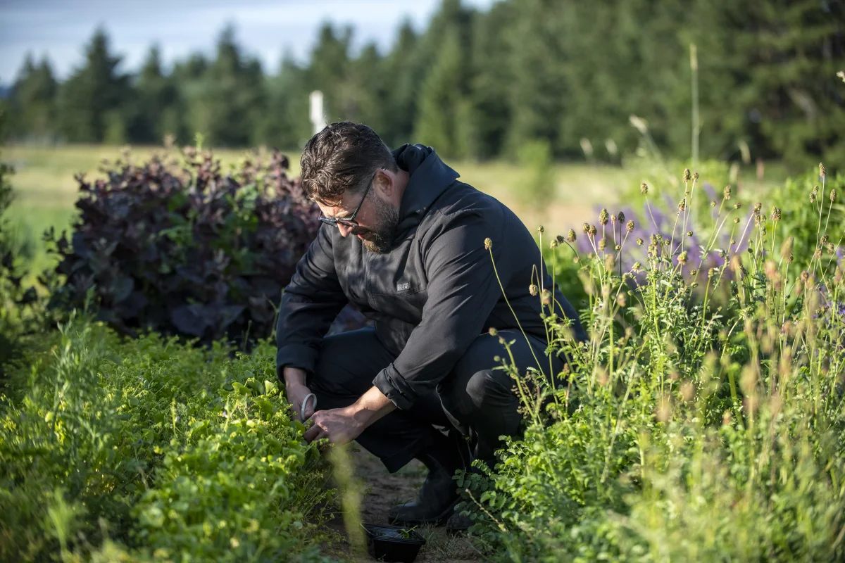 McMinnville Tasting Menu Destination Okta Closes