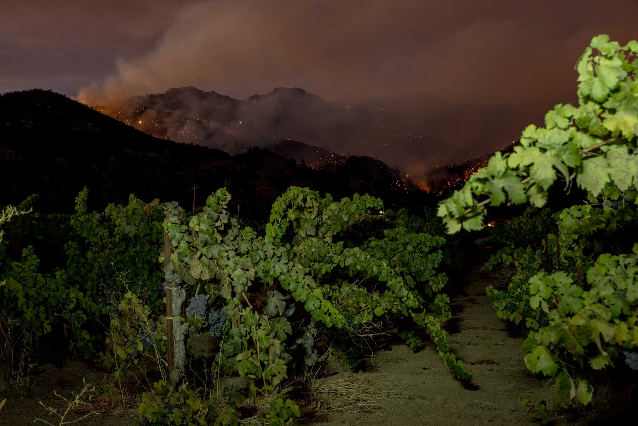 ‘Basically a monster’: The Pickett Fire is threatening these Napa Valley wineries
