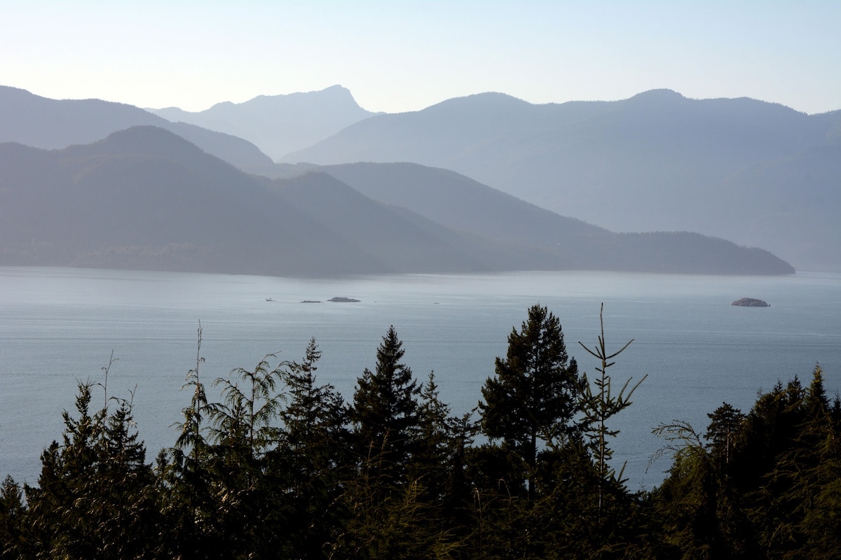 How science solved the mystery of feet washing ashore in the Pacific Northwest