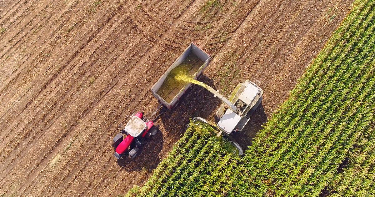 What Farm Subsidies Are and Why They Matter, Explained