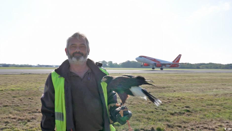 In France, birds of prey are improving flight safety