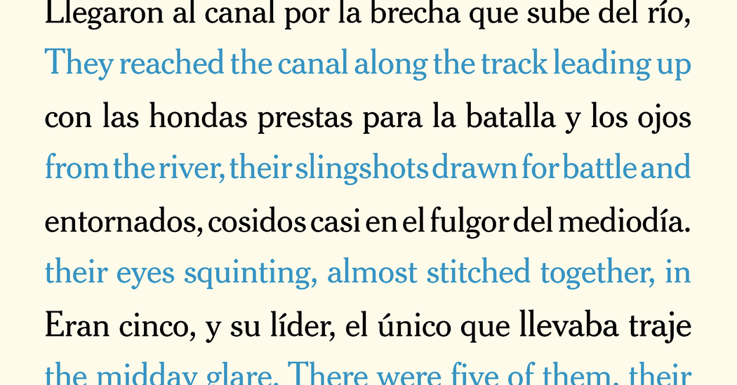 The Art of Translation