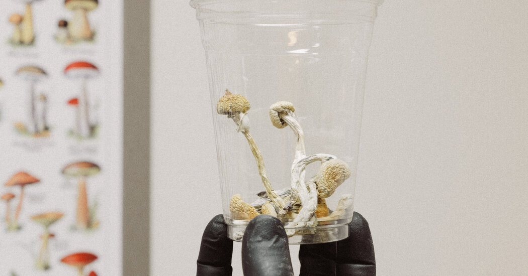 A New Era of Psychedelics in Oregon