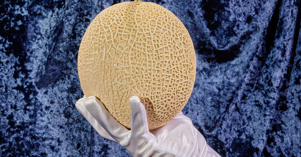 The World of Luxury Fruit: Does a $156 Melon Taste Sweeter?