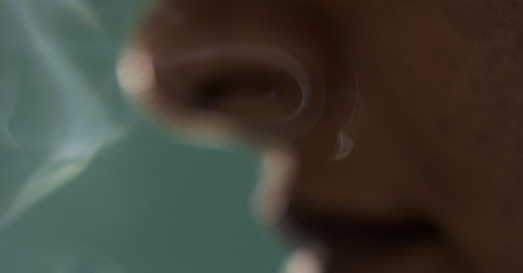 Improving Your Sense of Smell is Good for Your Brain