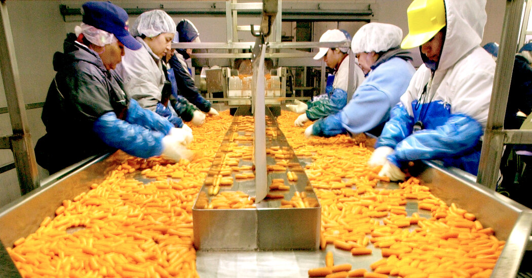 1 Dead and Dozens Ill in E. Coli Outbreak Linked to Organic Carrots