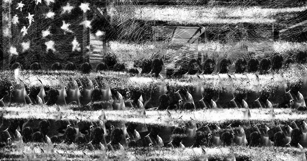 Opinion | Don’t Do Trump’s Work for Him on Mass Deportations