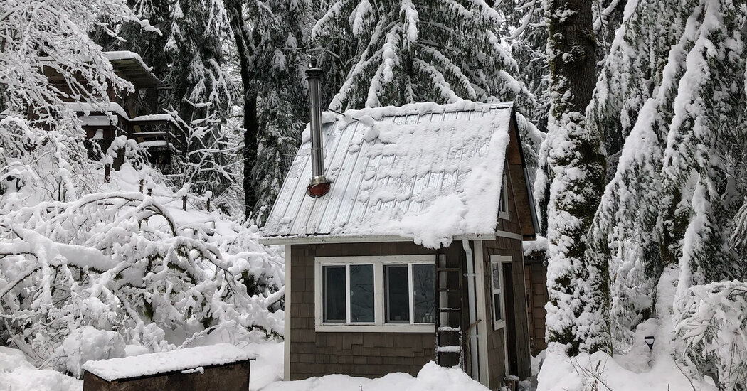 A Cabin-Porn Star Bares All
