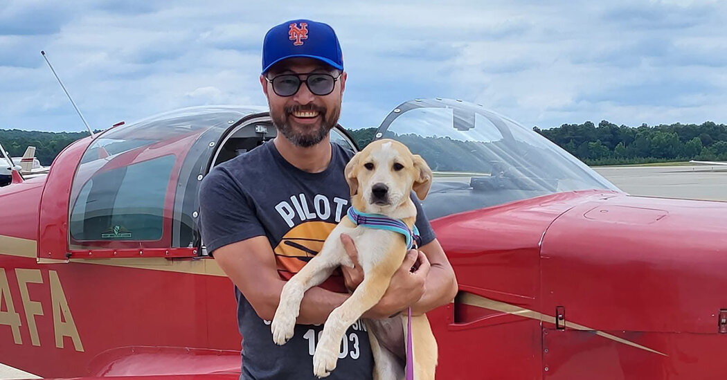 The Last Flight of the Dog Pilot