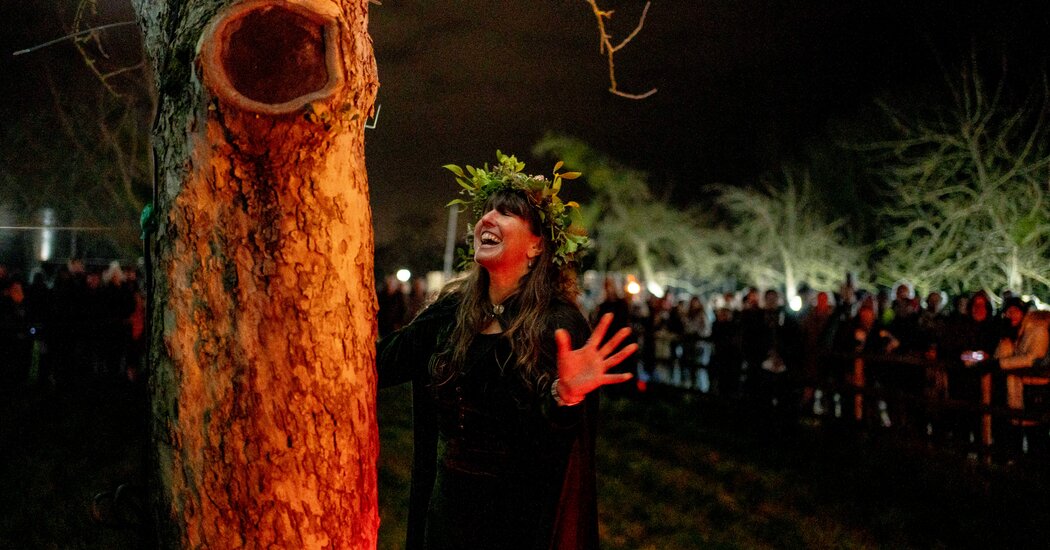 Toast, Trees and a Wassailing Queen: An Ancient English Ritual Is Back