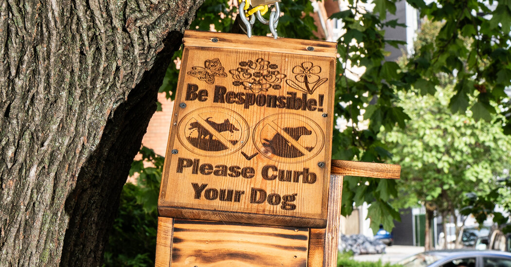 Is Your Dog Peeing on Some of New York’s Best Folk Art?