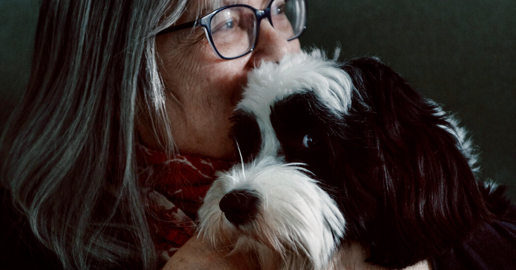 Why Dogs Are a Writer’s Best Friend