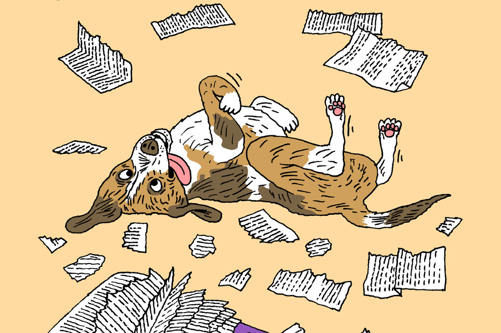 In Defense of Dumb Dogs